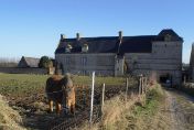 ferme de production biologique